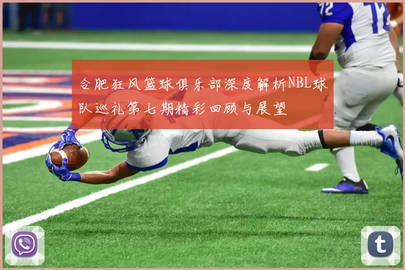 合肥狂风篮球俱乐部深度解析NBL球队巡礼第七期精彩回顾与展望