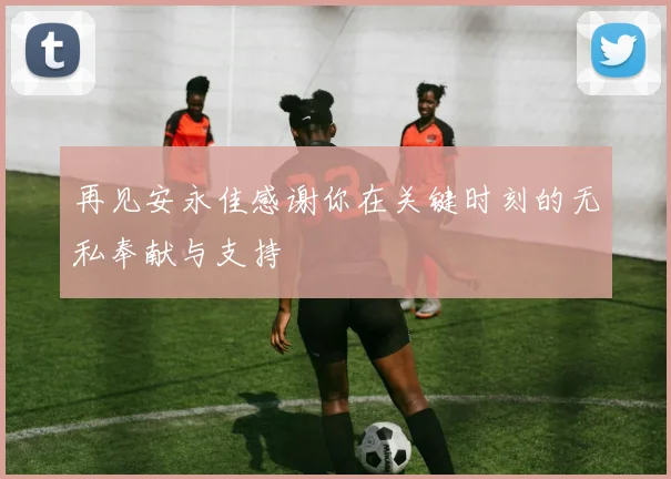 再见安永佳感谢你在关键时刻的无私奉献与支持