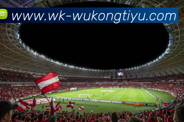 悟空体育平台生态图