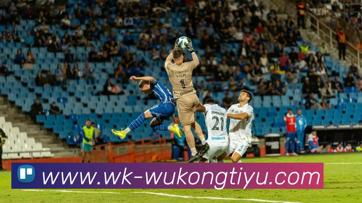 悟空体育APP 封面图