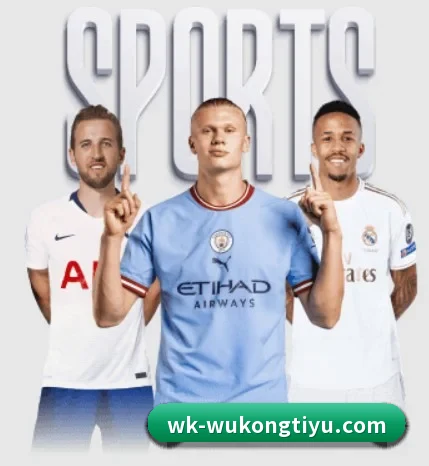 用内容积累长期价值 - WukongSports