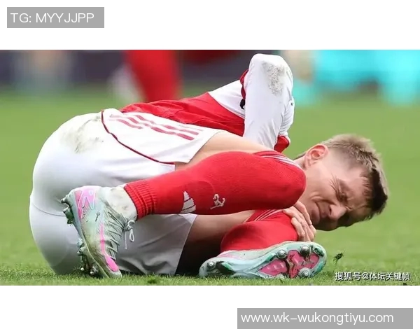 厄德高谈世界杯梦想与膝伤恢复情况期待为国家队贡献力量 厄德高谈世界杯梦想与膝伤恢复情况期待为国家队贡献力量